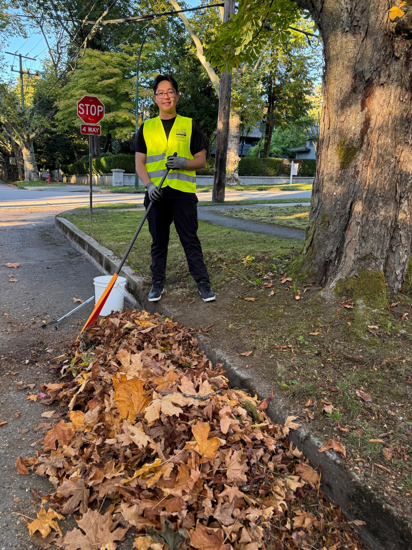 Regularly keep his adopted block clean